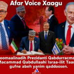 file_00000000e15c724386fa94bec9cc37ac